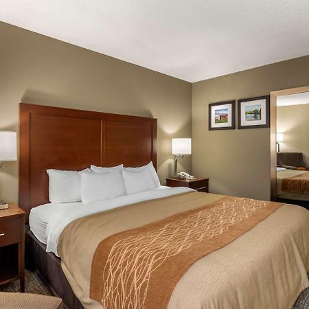 Comfort Inn Walcott Near Davenport Exterior foto